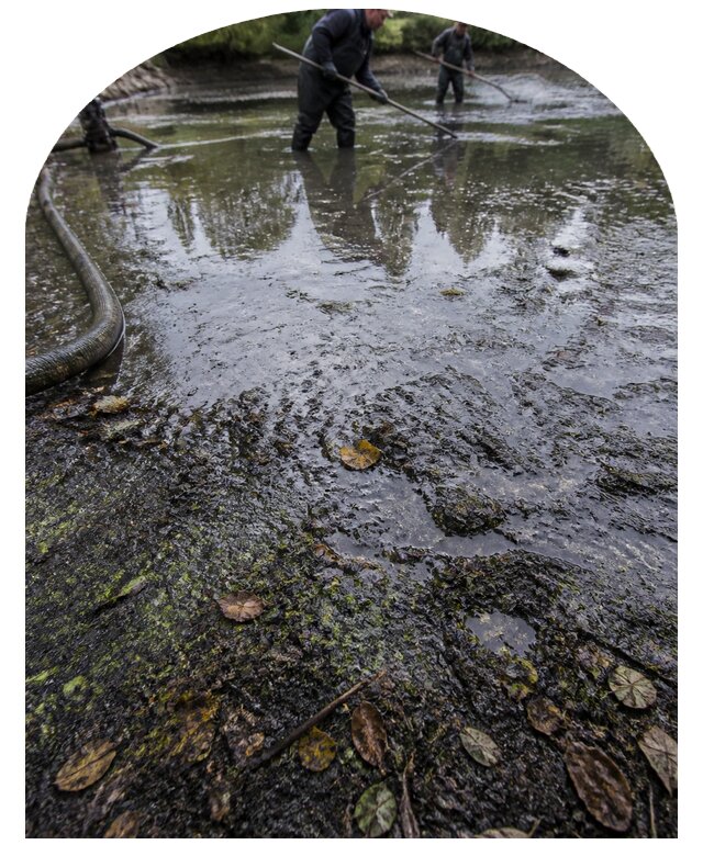 Очистка пруда в Похвистневе от ила мусора и водорослей с вывозом
